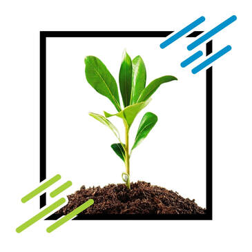 Irrigation For Plantation 