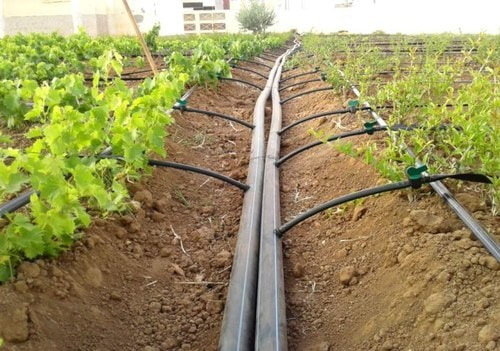 PE Pipe Installation